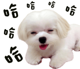 Small meat bag & mocha mischief diary sticker #14610758