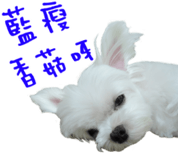 Small meat bag & mocha mischief diary sticker #14610762