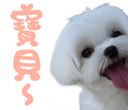 Small meat bag & mocha mischief diary sticker #14610764