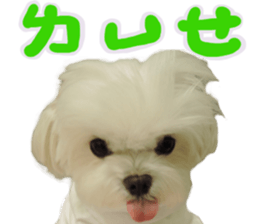 Small meat bag & mocha mischief diary sticker #14610765