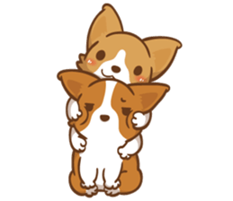 Corgi Dog Kaka - Good Friends vol. 3 sticker #14611154