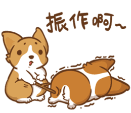 Corgi Dog Kaka - Good Friends vol. 3 sticker #14611189