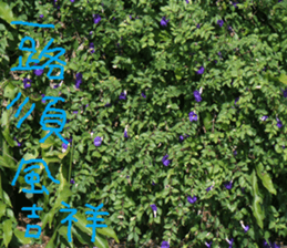 Xiang Fei sticker #14612653