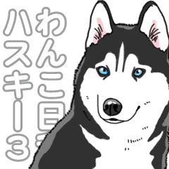 Wanko-Biyori Siberian husky 3