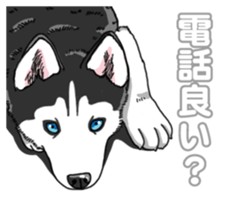 Wanko-Biyori Siberian husky 3 sticker #14612657