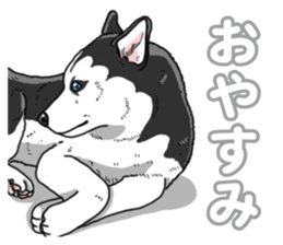 Wanko-Biyori Siberian husky 3 sticker #14612668