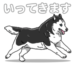 Wanko-Biyori Siberian husky 3 sticker #14612669