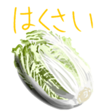 Super pretty charming sticker sticker #14613391