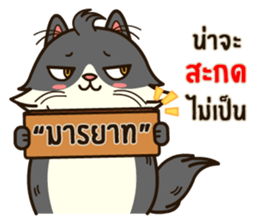 Angry Cat Jumping Punch sticker #14613470