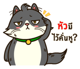 Angry Cat Jumping Punch sticker #14613472