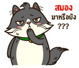 Angry Cat Jumping Punch sticker #14613473