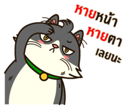 Angry Cat Jumping Punch sticker #14613479