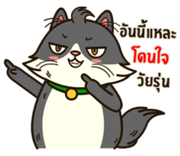 Angry Cat Jumping Punch sticker #14613491