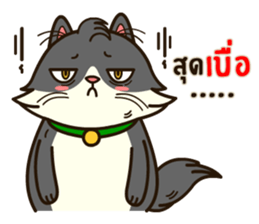 Angry Cat Jumping Punch sticker #14613499