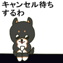 bike dog sticker sticker #14613508