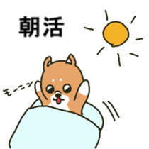 bike dog sticker sticker #14613513