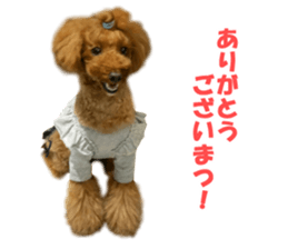 hana-cyo biyori sticker #14613798