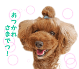 hana-cyo biyori sticker #14613800