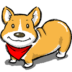 Rounded backside corgi
