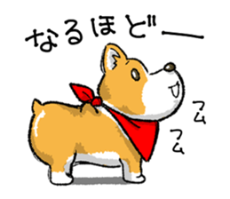 Rounded backside corgi sticker #14614376