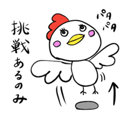 bird2017 sticker #14616182