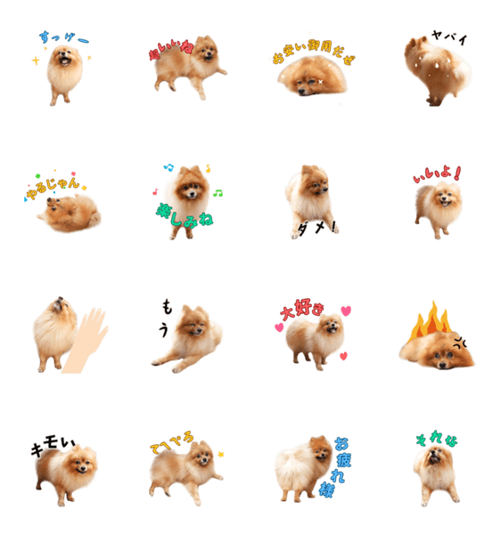ポメラニアン わんわんが動く Lineクリエイターズスタンプ Stamplist