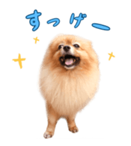 Wang Wang moving!(Japanese Ver) sticker #14616398