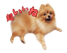 Wang Wang moving!(Japanese Ver) sticker #14616399