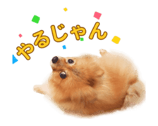 Wang Wang moving!(Japanese Ver) sticker #14616402