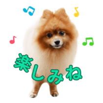 Wang Wang moving!(Japanese Ver) sticker #14616403