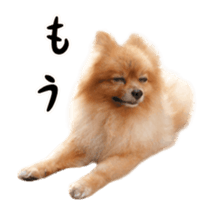 Wang Wang moving!(Japanese Ver) sticker #14616407