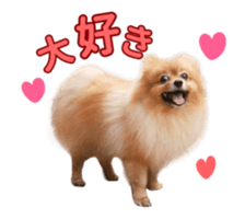 Wang Wang moving!(Japanese Ver) sticker #14616408