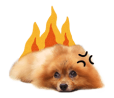 Wang Wang moving!(Japanese Ver) sticker #14616409