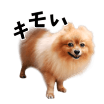 Wang Wang moving!(Japanese Ver) sticker #14616410