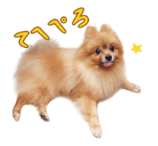 Wang Wang moving!(Japanese Ver) sticker #14616411