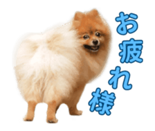 Wang Wang moving!(Japanese Ver) sticker #14616412