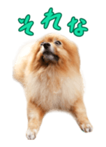 Wang Wang moving!(Japanese Ver) sticker #14616413