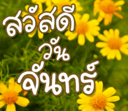 hello : happy happy sticker #14616483