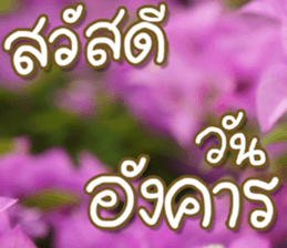 hello : happy happy sticker #14616484