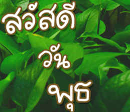 hello : happy happy sticker #14616485