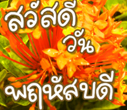 hello : happy happy sticker #14616486