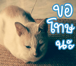 hello : happy happy sticker #14616501