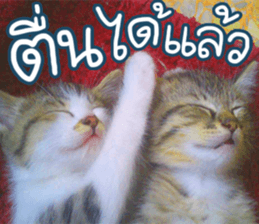 hello : happy happy sticker #14616502