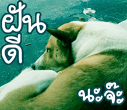 hello : happy happy sticker #14616503