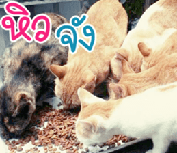 hello : happy happy sticker #14616505