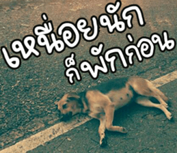 hello : happy happy sticker #14616513