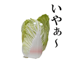 Moving Vegetables 2 sticker #14617265