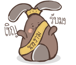 Rabbit Spinning Puan sticker #14618198