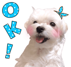 Little Maltese Birdy 2 sticker #14618234