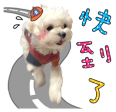 Little Maltese Birdy 2 sticker #14618240